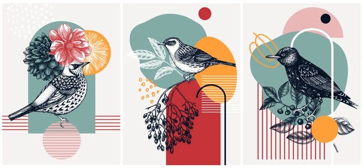 Collage-style bird cards set. Sketched birds trendy poster collection. Creative designs with botanical illustrations, geometric shapes, and abstract elements for nature print, wall art, packaging. 